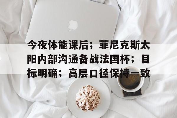 kaiyun体育平台-关于今夜体能课后;菲尼克斯太阳内部沟通备战法国杯;目标明确;高层口径保持一致的信息