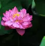 base码表